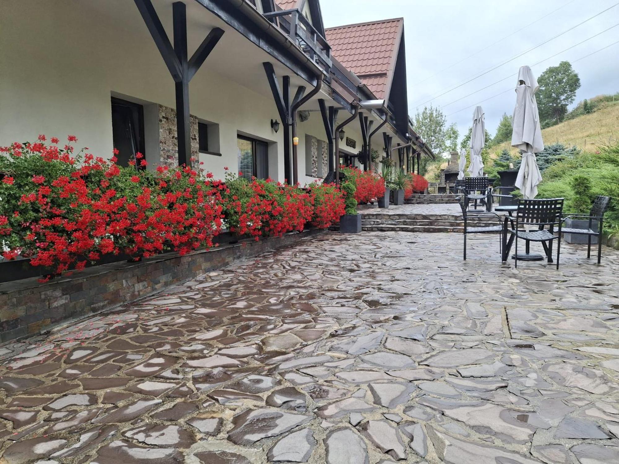Contele Vladimir Hotel Бран Екстериор снимка